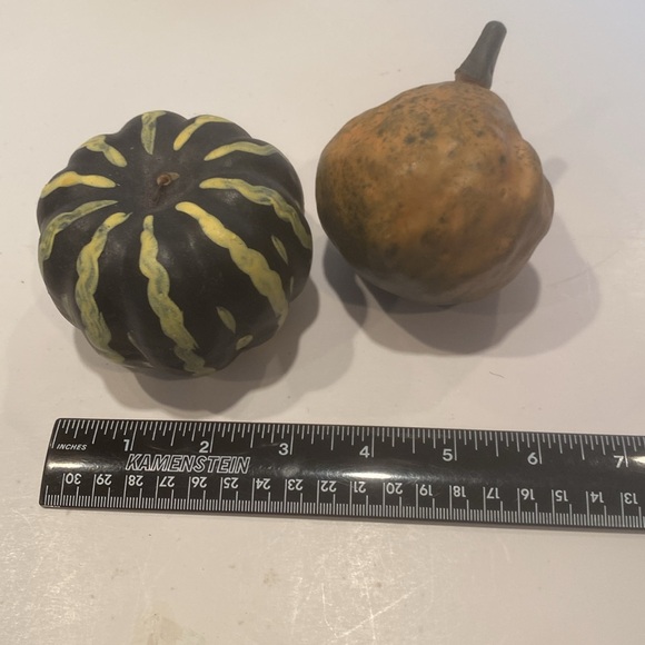 NWT & NWOT Bundle of Thanksgiving & Autumn Decorations - Picture 6 of 9